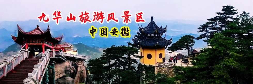 粗rou棒插入肥bi视频