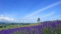 用力操逼逼日本一地6日游  境外旅游 6880元/人